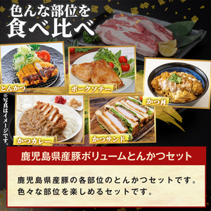K-611 《数量限定》鹿児島県産豚ボリュームとんかつセット(計1.8kg)【ハピネス】霧島市 肉 豚肉 豚 精肉 鹿児島県産 とんかつ トンカツ 豚カツ ロース バラ 肩ロース ヒレ肉 セット 小分
