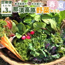 【ふるさと納税】【定期便3回】那須ブランド 春夏の那須高原野菜セット｜野菜 お野菜 新鮮 詰め合わせ やさい みずみずしい 美味しい 自然 栃木県 那須町〔D-60〕※北海道・沖縄・離島への配送不可 ※2025年5月上旬～7月下旬頃に順次発送予定