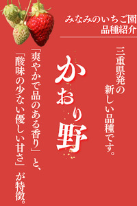 【 先行予約 _ 2025年2月から順次配送】完熟いちご280g かおり野 2パック（DXパック） 【 かおり野 いちご 苺 イチゴ 果物 フルーツ くだもの 旬 伊豆 静岡県 期間限定 先行予約 】