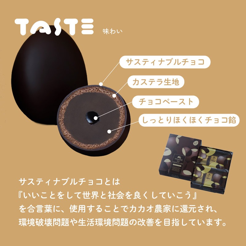 かもめのショコらん 6個入×2箱 お菓子 おかし 銘菓 お土産 おみやげ スイーツ チョコ 餡 チョコ餡 チョコ さいとう製菓 岩手県 大船渡市［kamome34］
