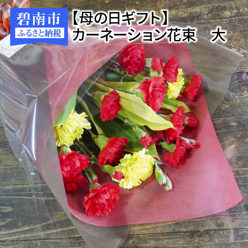 【ふるさと納税】母の日 明るい印象 赤 グリーン カーネーション 花束 サイズ大 ギフト 生花 プレゼント用 贈り物 里帰り 手土産 送料無料