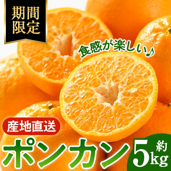 【ふるさと納税】＜先行予約受付中！2027年1月中旬以降順次発送予定＞ポンカン(約5kg) みかん ポンカン ぽんかん 柑橘 果物 くだもの フルーツ 旬 ミカン オレンジ 数量限定 期間限定【アーステクノ】