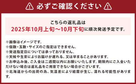 北海道産 じゃがいも 男爵 M～2Lサイズ混載 約10kg かぼちゃ ブラックのジョー 約5kg（2～5玉） セット 各1箱 合計約15kg 2箱 山田農場 ジャガイモ 芋 いも イモ 栗かぼちゃ 南