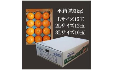 【12月中旬から発送】 希望の島 愛果28号 家庭用 約3kg 愛媛 中島産 【FT032_x】