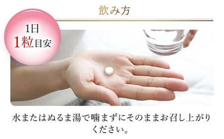 75913_DHC乳酸菌AL(エーエル)3種のバリア菌 30日分 2個セット（60日分） MBB028