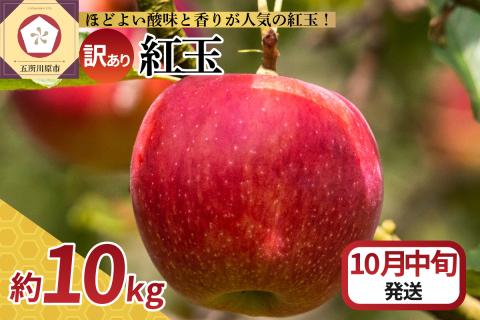 【2024年10月中旬発送】【訳あり】 りんご 10kg 紅玉 アップルパイ に最適 青森 不揃い