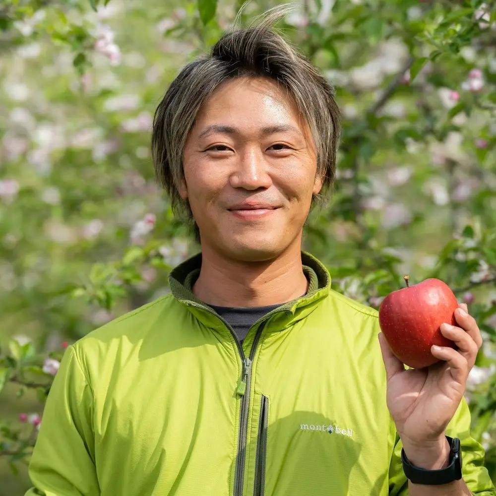 【2026年11月下旬発送】【訳あり】 りんご 約5kg サンふじ 青森県産 葉とらずりんご