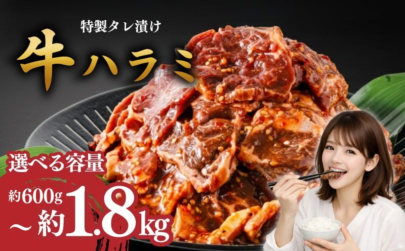 
                  【選べる容量】ハラミ タレ漬け 計 600g ~ 1.8kg ( 約300g × 2~6パック) はらみ 厚み 牛 牛肉 肉 お肉 焼き肉 焼肉 味付けダレ さがり 牛肉ハラミ ビーフ ぎゅうにく おいしい やわらかい ハラミ 牛ハラミ 牛はらみ 焼肉ハラミ ハラミ肉 はらみ ﾊﾗﾐﾆｸ はらみ肉 ハラミ サガリ 肉 niku 小分け 10000円 大容量 個包装 簡単調理 BBQ おかず 冷凍
                