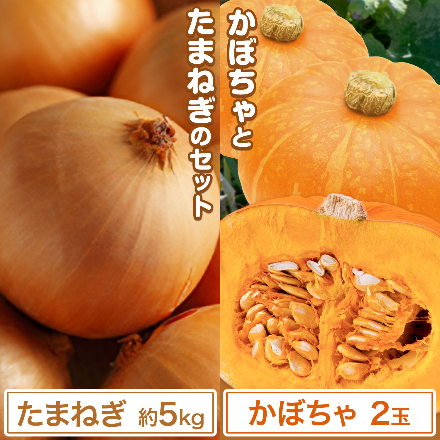 【ふるさと納税】かぼちゃ 2玉 と 玉ねぎ 5kg セット 有限会社橋枝物産 《9月中旬以降出荷予定》北海道 浦幌町 野菜 かぼちゃ カボチャ 南瓜 朱里 あかり 玉ねぎ たまねぎ 玉葱 タマネギ 野菜 料理