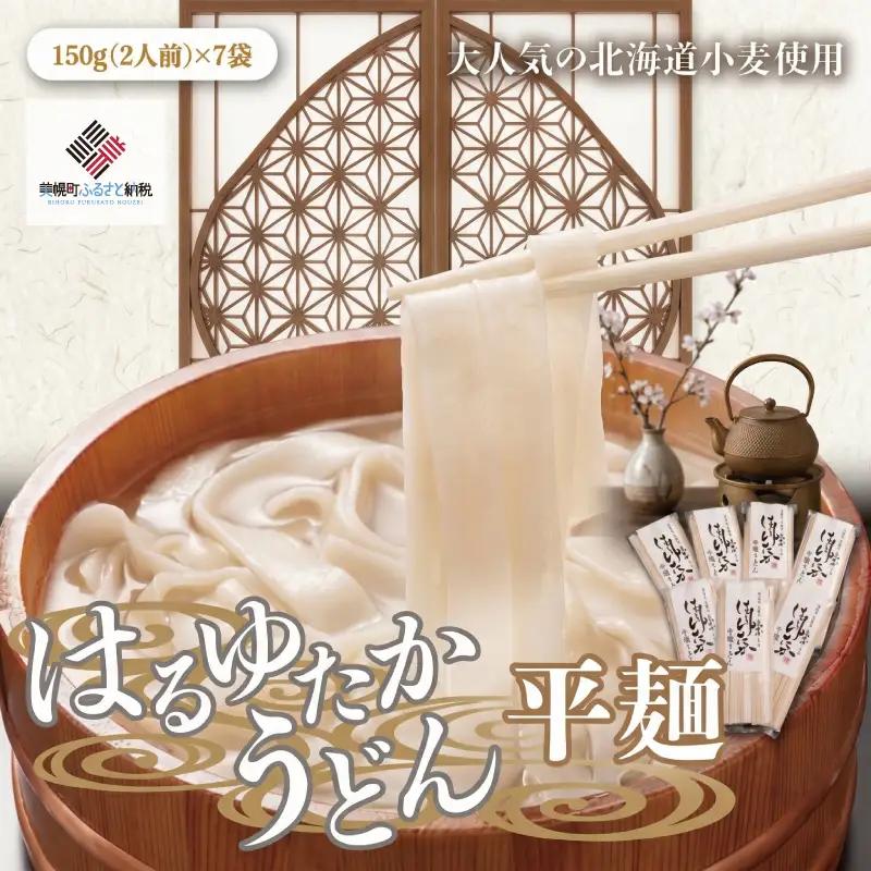 大人気の北海道小麦使用「はるゆたかうどん 平麺」 うどん 麺 めん AG013