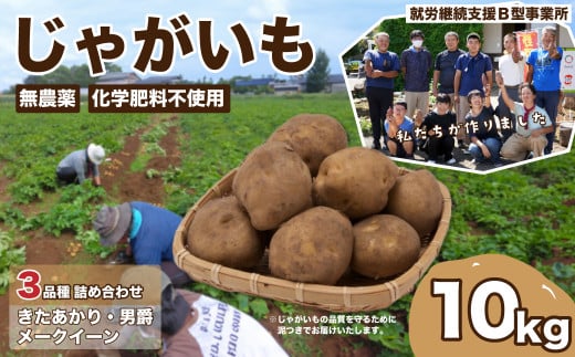 じゃがいも10㎏！3種類の詰め合わせ | じゃがいも ジャガイモ 詰め合わせ 国産 無農薬 化学肥料不使用 きたあかり 男爵 メークイン 食べ比べ サラダ やさい 野菜 野菜セット おいしい 新鮮 埼