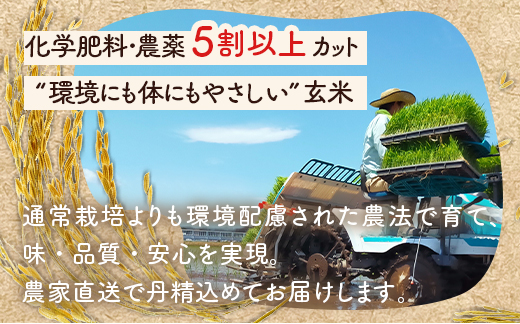 【発送時期が選べる】令和7年産 石川県能登産 こしひかり玄米10kg（5kg×2個） / 米 玄米 10kg 日本初！世界農業遺産認定「能登の里山里海」の恵み ｜石川県 七尾市 能登 こしひかり お米