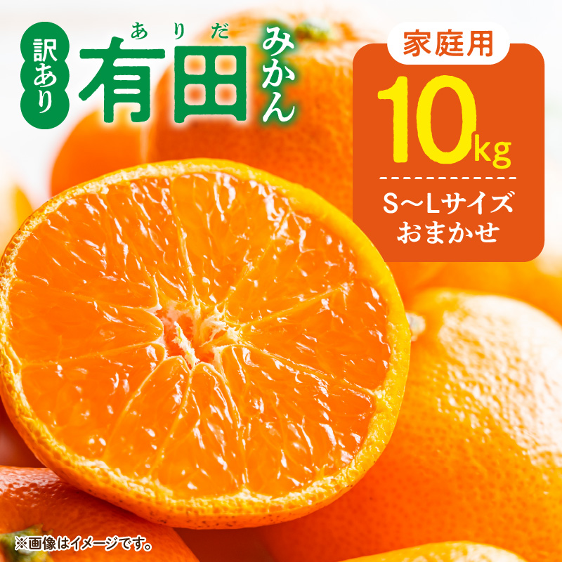 【2026年11月発送】ご家庭用 有田みかん 和歌山 S～Lサイズ 大きさお任せ 約10kg_DZ6201_11