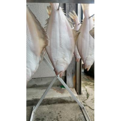 ふるさと納税 宮津市 【エテカレイ一夜干し 5枚セット [ 小分けの個包装パック ]】 |  | 01