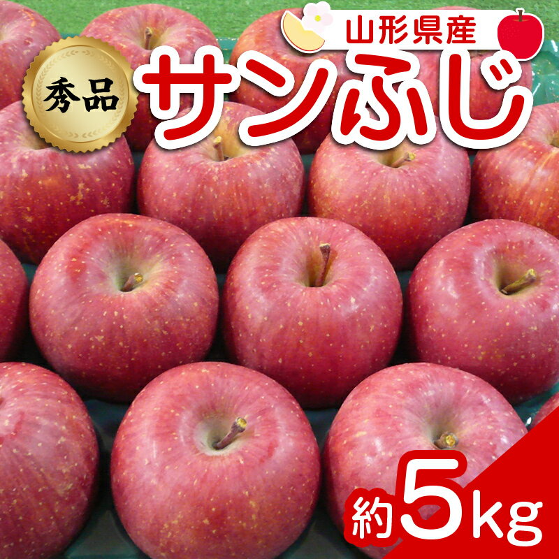 【ふるさと納税】 【令和7年産先行予約】 りんご 「サンふじ」 約5kg (12～23玉 秀品) 《令和7年12月上旬～令和8年2月下旬発送》 『カネタ高橋青果』 リンゴ 山形県 南陽市 [1960]