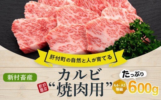 【A01018】鹿児島県産黒毛和牛カルビ焼肉用〈約600g〉