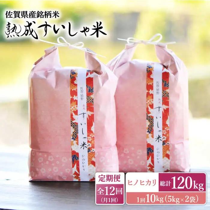 【定期便】 白米 ヒノヒカリ10kg NAO062 全12回 白米