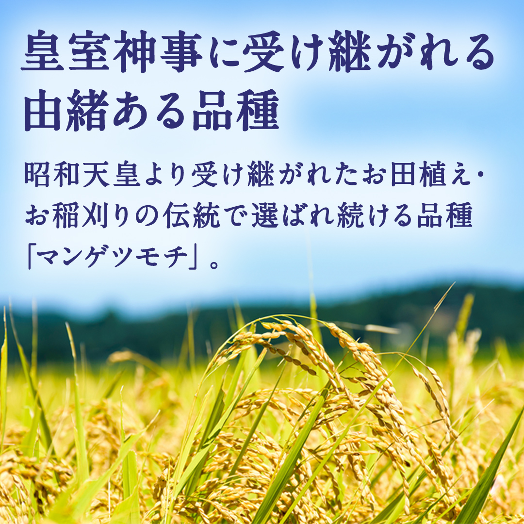 もち米 精米 2kg マンゲツモチ 栽培期間中無農薬 (BJ023)
