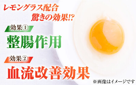 【全10回定期便】【お得な箱入り】五島の恵みたまご M〜Lサイズ 50個入 / 卵 赤玉子 五島市 / 五島列島大石養鶏場[PFQ050]