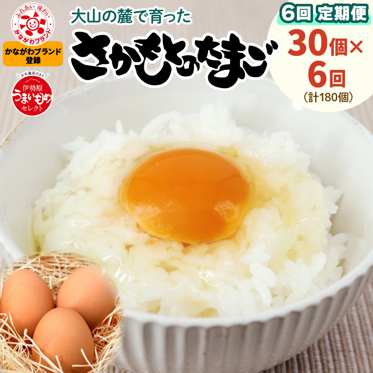 【ふるさと納税】[定期便／30個×6回] [合計180個] 坂本養鶏 大山の麓で育ったさかもとのたまご｜赤玉卵 玉子 鶏卵 産直 卵かけご飯 たまご タマゴ [0092]