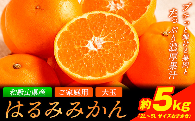 
                  【先行予約】【大玉】ご家庭用はるみ約5kg【2L~5L サイズお任せ】《2027年2月中旬-3月中旬頃出荷予定》 紀の川市厳選館 和歌山県 紀の川市 フルーツ 果物 はるみ みかん 晴見
                