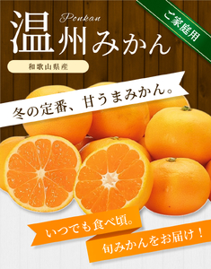 みかん【家庭用】 森本農園 約6kg 【2026年10月中旬～2027年2月中旬ごろに順次発送】【BV90030-mrmt030】