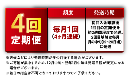 【4か月連続発送】福井県産 いちほまれ 精米 10kg 県産ブランド米 / コメ 白米 新米 米 小浜市 / 梅田東米穀店[BFEK034]
