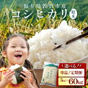 【ふるさと納税】【単品・定期便 選べる配送回数】令和6年産　福井県敦賀市産　コシヒカリ精米5kg 【米 コメ お米 精米 白米 ご飯 飯 こしひかり ブランド米 国産 お中元 お歳暮 ギフト 贈り物 贈答 NEW 新規】