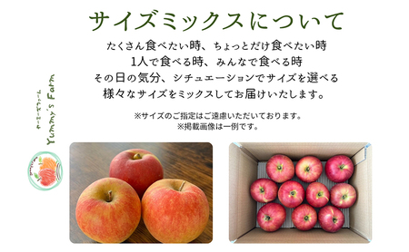 生産農家直送 信州りんご発祥の地・長沼産 長沼りんご サンふじ(ご家庭用) 約10kg サイズミックス 長野県産 栽培期間中化学肥料不使用 除草剤不使用 人にやさしく環境にもやさしい