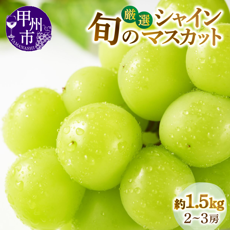 甲州市産厳選旬のシャインマスカット 約1.5kg 2房～3房入り【2025年発送】（MG）B14-002