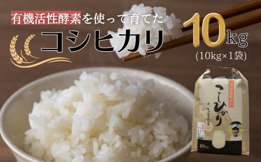 【令和7年産】有機活性酵素を使用 新見産コシヒカリ 白米10kg×1袋