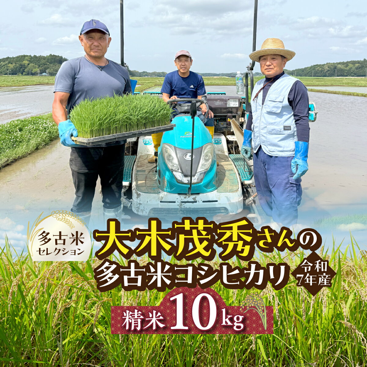 【ふるさと納税】多古米セレクション　大木茂秀さんの多古米コシヒカリ　精米10kg　令和7年産【配送不可地域：離島】【TAKF056】