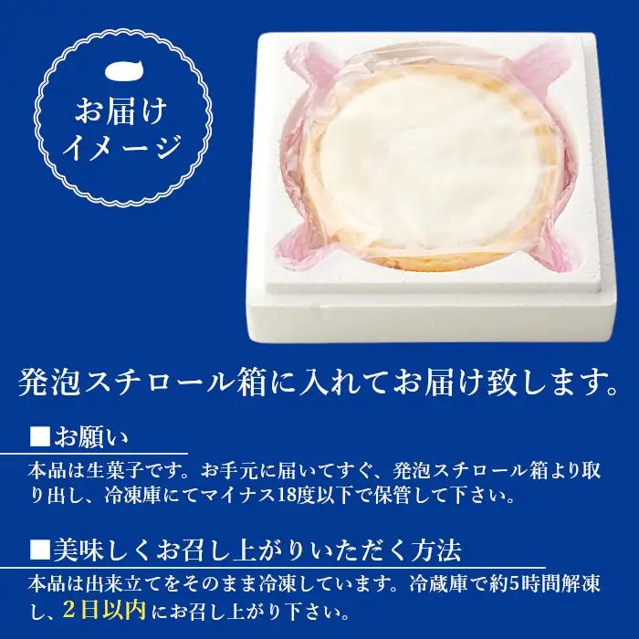 さくさく！大人気★ヨーグルトフロマージュタルト 2箱 5号サイズ (約15cm) 