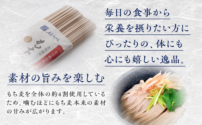 うどん もち麦のうどん(200g×20袋)40食分 / うどん 愛媛県産 もち麦 練り込み 常温 長期保存可 詰合せ 食物繊維 もちもち 食感 冷うどん 温うどん / 愛媛県砥部町/五色そうめん株式会