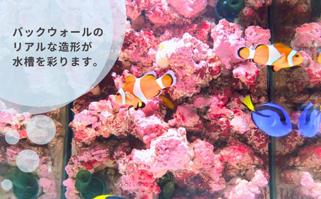 【海水魚専用】ハンドメイド小型水槽（30×20×25cm）※ポンプ付き | 新潟県 出雲崎町