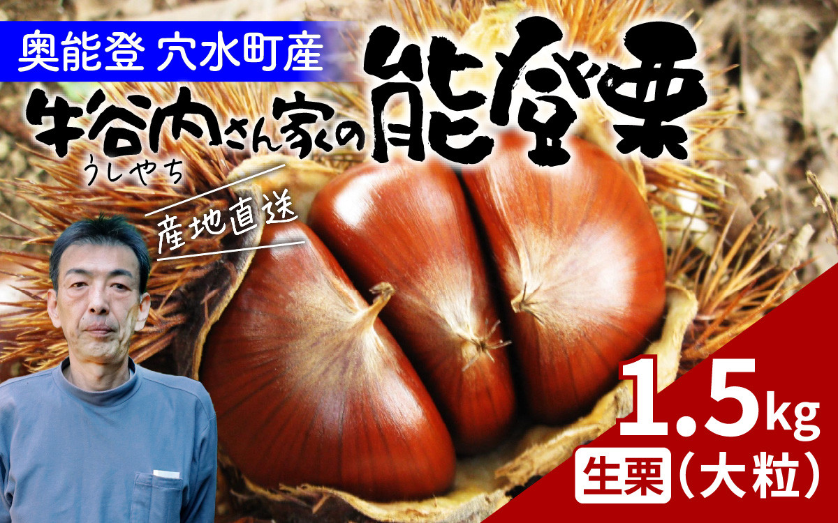 
            【先行予約】牛谷内農園の能登栗（大粒）1.5kg ～低温熟成させたあま～い能登栗～【2025年9月末より順次発送】/ 能登半島 奥能登 くり 生栗 マロン 和栗 焼き栗 栗ごはん 焼き栗 国産 果物
          