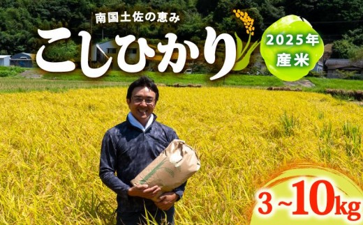
                  2025年 コシヒカリ 選べる 3Kg 5Kg 10Kg 産地直送 高知県産 白米 精米 こしひかり 米 常温 配送 ブランド米 国産 米 早場米 人気 天然 恵み 心 高知県 須崎市 SI001-ALL
                