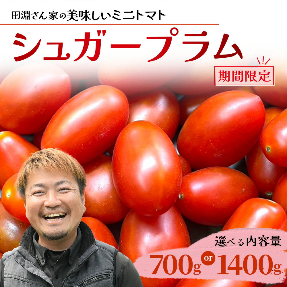 【ふるさと納税】田淵さんちの美味しい ミニトマト シュガープラム（約700g|約1,400g）｜鹿児島県 南大隅 産地直送 旬 とまと トマト ミニトマト リコピン 完熟 甘い 高糖度 野菜 やさい 送料無料