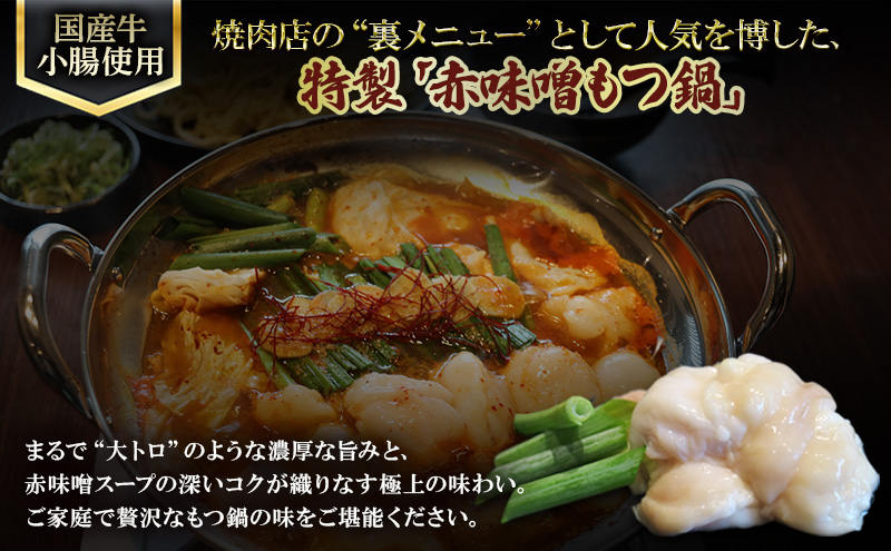 【6か月定期便】国産もつ鍋 赤味噌４～6人前　300g×2 | 牛肉 国産牛 牛ホルモン モツ 鍋 冷凍 京都