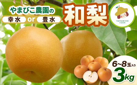 先行予約 幸水梨 3kg (3L～5Lサイズ) 6~8玉入り【2026年8月中旬～9月上旬発送】 梨 和梨 なし [A-21901_01]