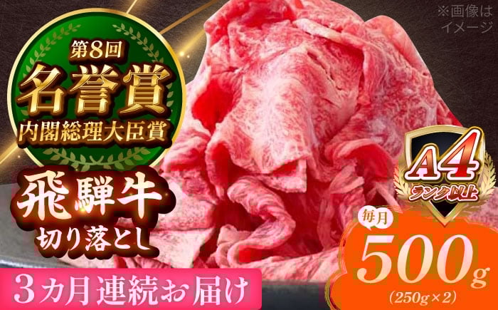 
            【3回定期便】 飛騨牛 切り落とし 500g (250g×2) 瑞浪市 / 肉のひぐち 国産 ブランド牛 和牛 [AZDE015]
          