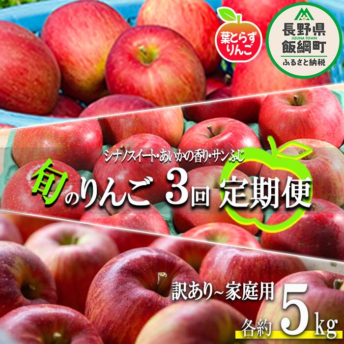 【ふるさと納税】 旬の葉とらずりんご 【 定期便 】 訳あり 〜 家庭用 5kg × 3回 フレッシュフルーツミカズキ 沖縄県配送不可 令和8年度収穫分 長野県 飯綱町 〔 傷 不揃い リンゴ 果物 フルーツ 信州 長野 予約 農家直送 〕発送期間：2026年10月中旬〜2026年12月下旬 {*}