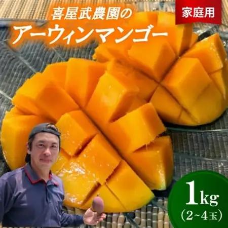 【先行受付・2026年6月から順次発送・家庭用】喜屋武農園のアーウィンマンゴー1kg(2～4玉)【配送不可地域：離島】【1439647】
