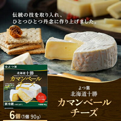 【ふるさと納税】よつ葉 北海道十勝 カマンベールチーズ 90g×6個【配送不可地域：離島】【1690045】