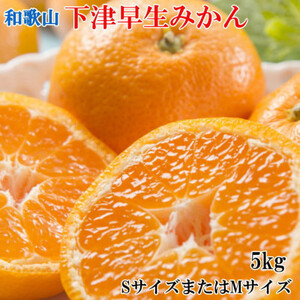 【産直】和歌山下津みかん約5kg(SサイズまたはMサイズのいずれかをお届け・秀品)(日高町)【1217458】