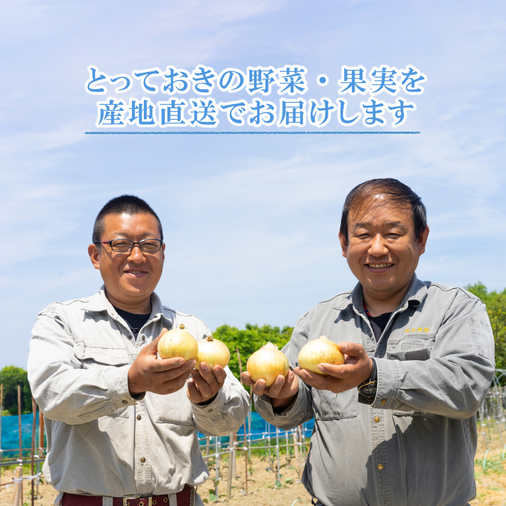 名手農園の淡路島特産玉ねぎ 5kg　　[淡路島たまねぎ 玉葱 