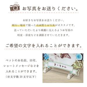 【メモリアルフォトフレーム～フラワー～【水玉とバラ】