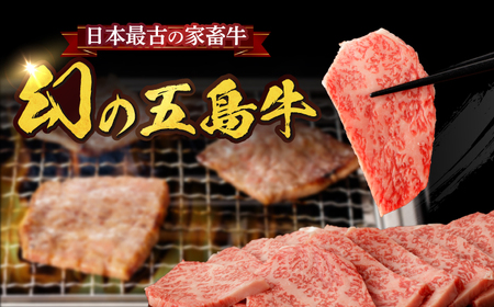 【全3回定期便】【幻の和牛！やわらかとろける♪】五島牛 ロース スライス 約500g すき焼き しゃぶしゃぶ 牛肉【カミティバリュー】[RBP035]