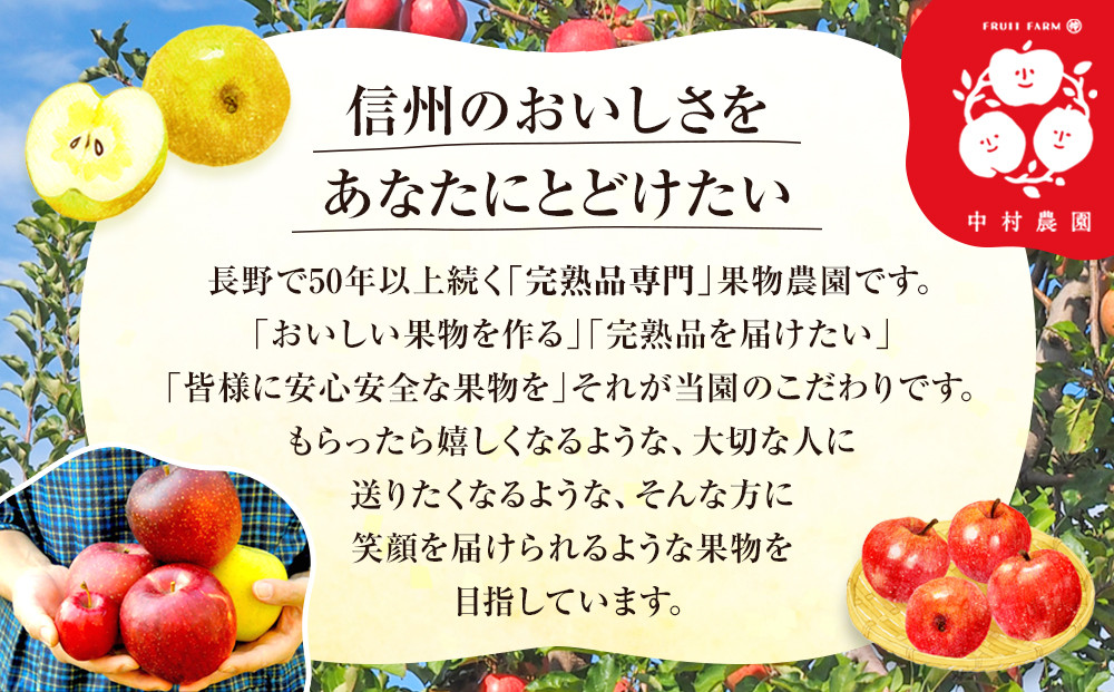 【2027年8月中旬～順次発送 先行予約】フルーツファーム中村農園　樹上熟成　シナノリップ 5kg | りんご シナノリップ  信州 林檎 果物 フルーツ 夏りんご 人気 おすすめ   ギフト 家庭用