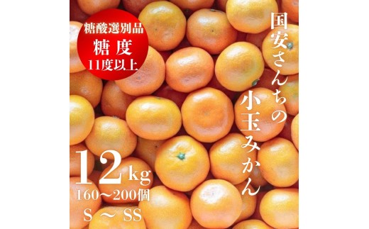 糖度11.0以上　国安さんちの厳選小玉みかん　12kg＜H20-30＞_ みかん ミカン 柑橘 くだもの 果物 フルーツ 温州 小玉 ジューシー 甘い 常温 デザート 産地直送 産直 愛媛 人気 【1323622】 YWTI025